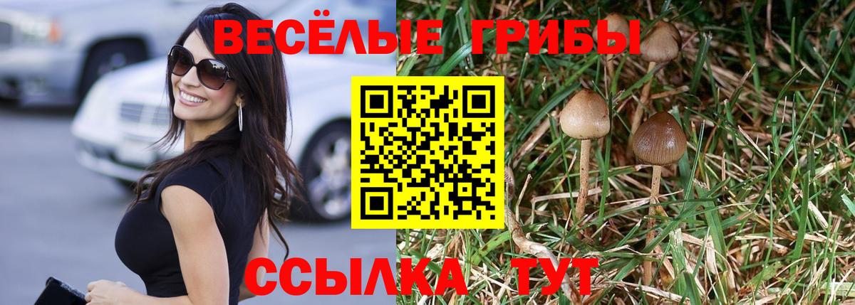 Галлюциногенные грибы Magic Shrooms Нижневартовск